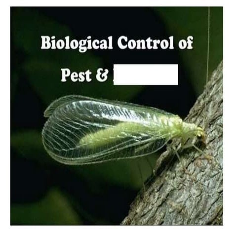 Biological control of pest