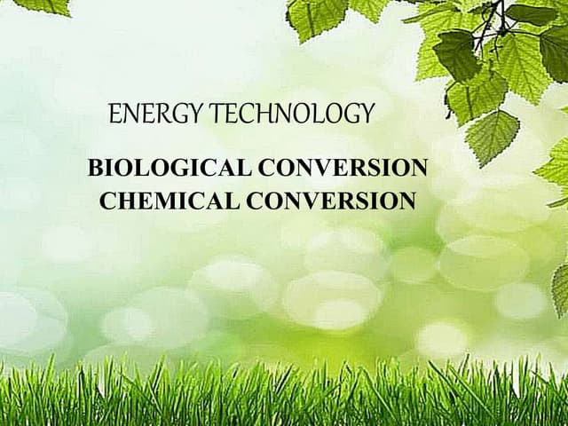 Thermo chemical conversion | PPT