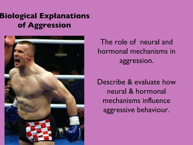 Biological explanations of aggression