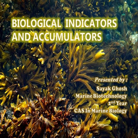 Biological  indicators  and accumulators