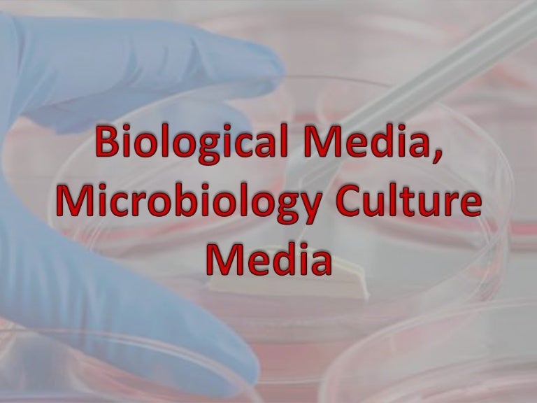Biological media & microbiology culture media