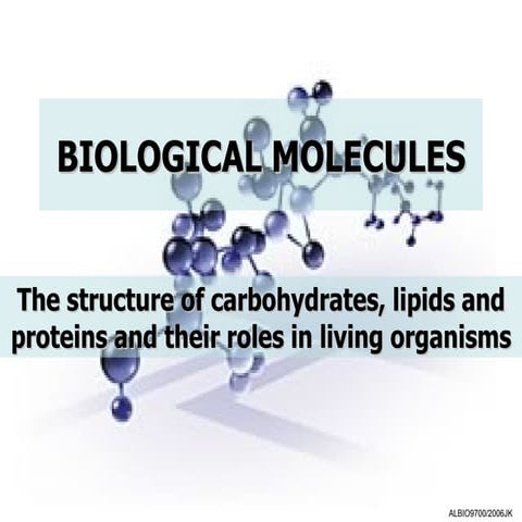 Biological Molecules