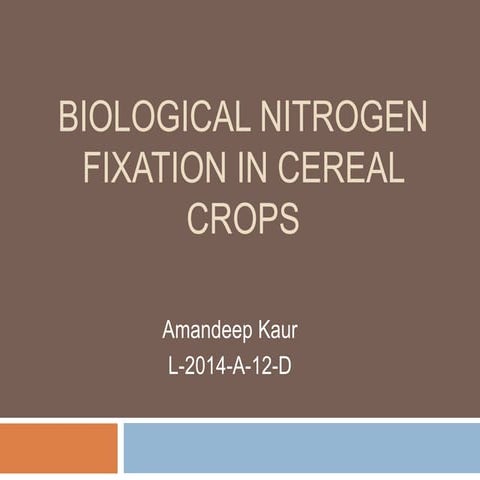 Nitrogen fixation in legumes and cereal crops | PPTX