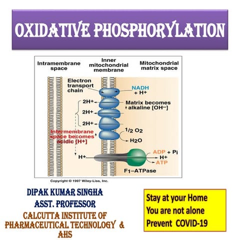 Biological oxidation L5 (oxidative phosphorylation) pdf