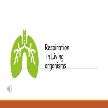 Biological Respiration.pptx