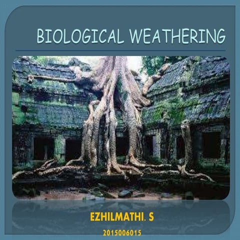 Biological weathering