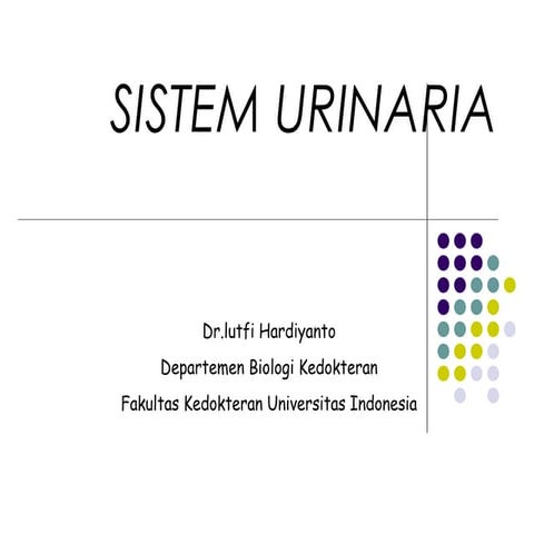 Biologi kedokteran sistem urinaria
