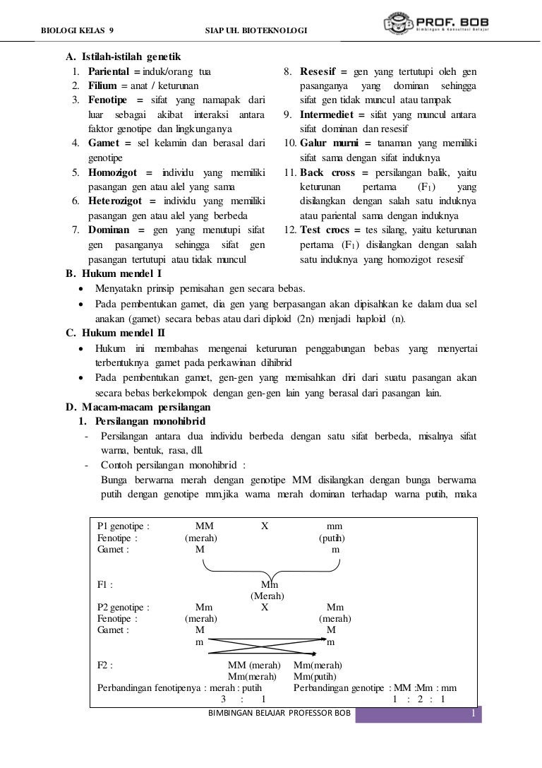 Biologi Kelas 9 Bab Pewarisan Sifat