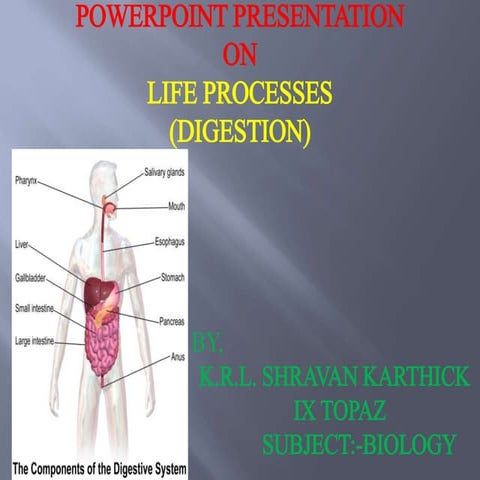 digestion process | PPTX
