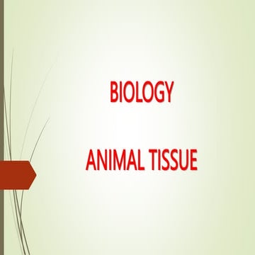 BIOLOGY- ANIMAL TISSUE.pptx