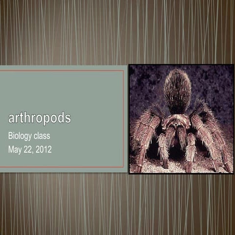 Biology.arthropods.may22