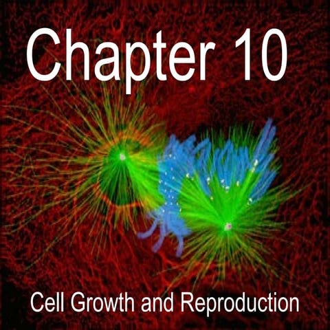 Biology - Chp 10 - Cell Growth And Reproduction - PowerPoint