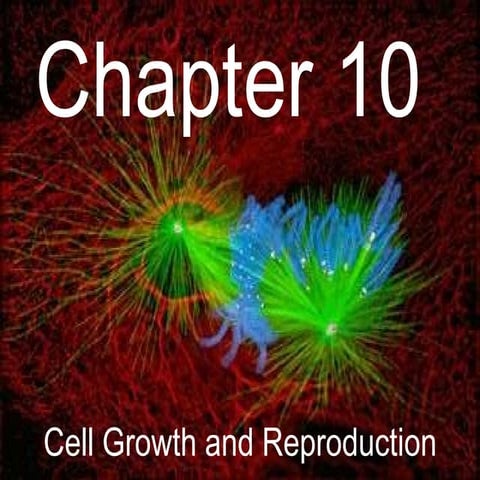 Biology - Chp 10 - Cell Growth And Reproduction - PowerPoint