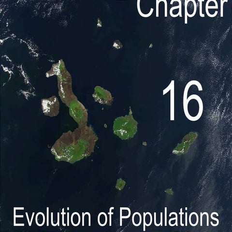 Biology - Chp 16 - Evolution Of Populations - Powerpoint 