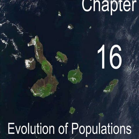 Biology - Chp 16 - Evolution Of Populations - Powerpoint