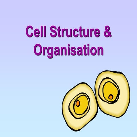 Biology chapter 1 cell structure and organisation