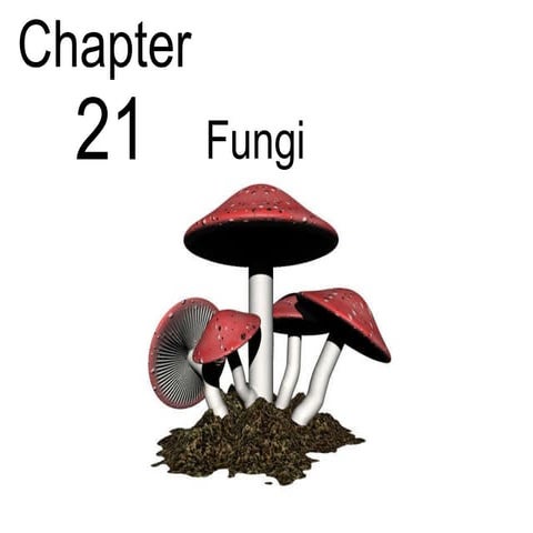 Biology - Chp 21 - Fungi - PowerPoint