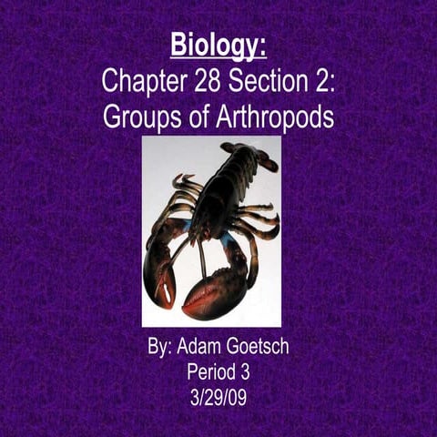 Biology  Chapter 28 Section 2[1]