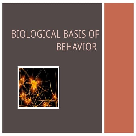 The biological basis for behavior- the brain & consciousness