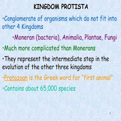 Kingdom Protista