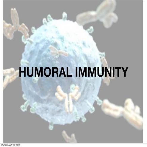 Biology 151 lecture 4 2012 2013 (part 2 hi)