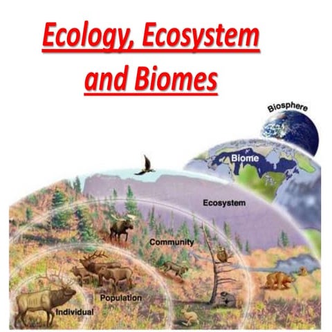Ecosystems and biomes | PPTX