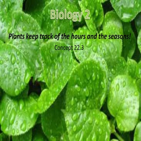 Biology 22.3 | PPT