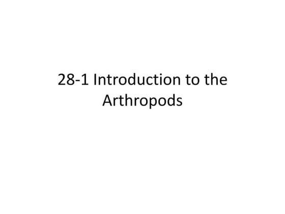 Introduction To The Arthropods | PPTX