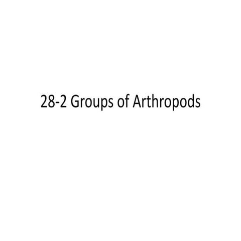 Biology 28 2 groups of arthropods