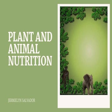 comparison  and contrast plant and animal nutrition