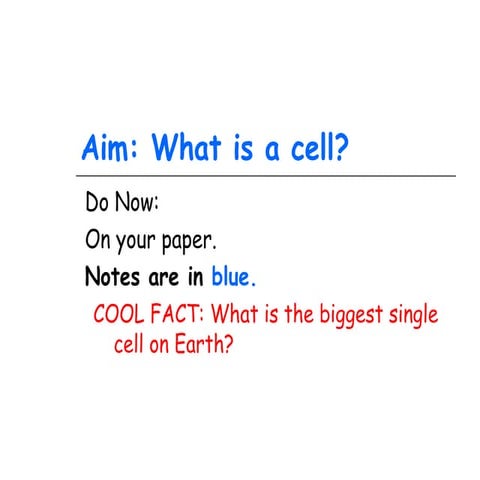 Ch 4 structure and function of cells | PPT
