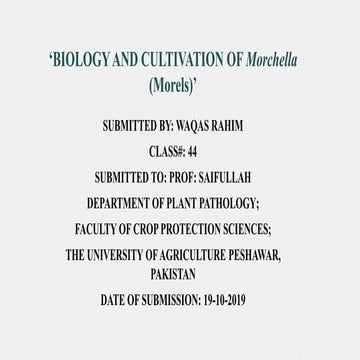 Biology and cultivation of morchella