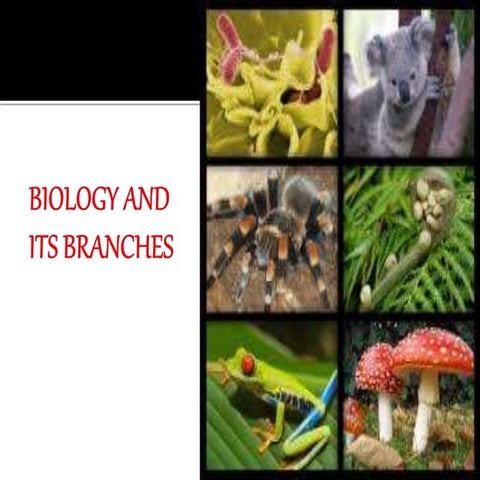 Biology and its branches