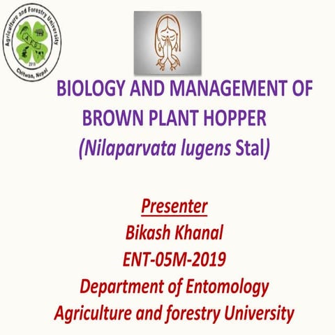 Biology and management of brown plant hopper (