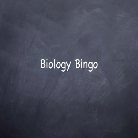 Biology Bingo, day 1