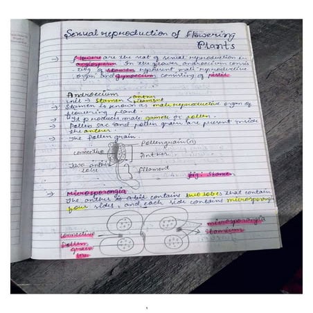 Sexual Reproduction in Flowering Plants Ch -2 Notes  Class 12 Biology 