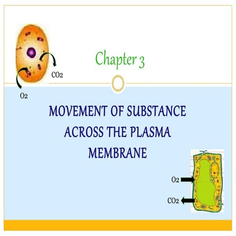 Biology chapter 3