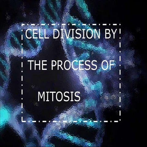 Mitosis- with an animated explanation of the concept 