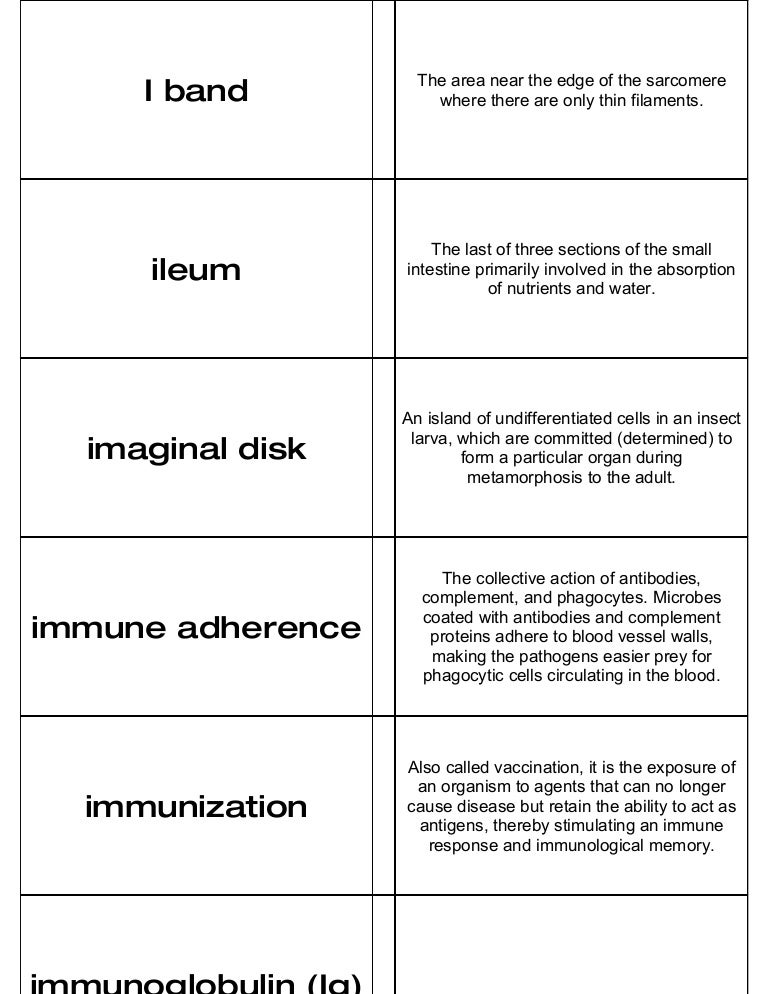 Biology Flash Cards 3