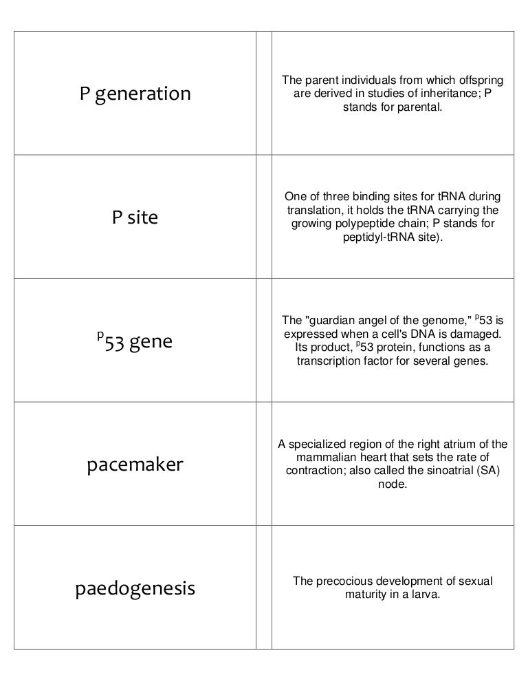 Biology Flash Cards 4
