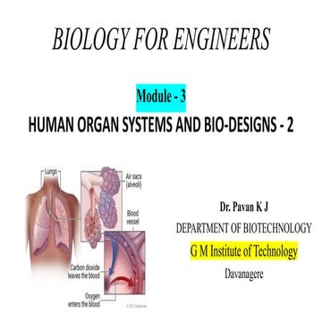 Biology For Engineers  Module 3 / HUMAN ORGAN SYSTEMS AND BIO-DESIGNS - 2 