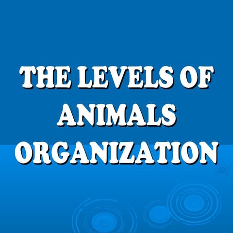 Biology I(The Levels of Animal Organization)