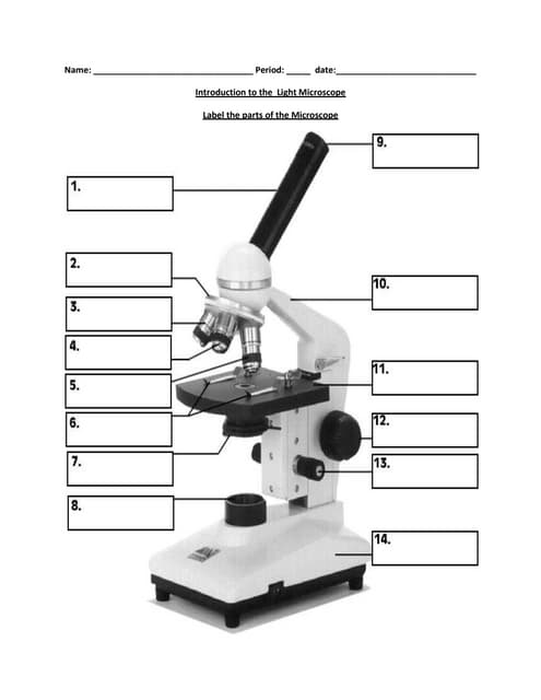 Biology label part of microscope | PDF biology-label-part-of-microscope-pdf