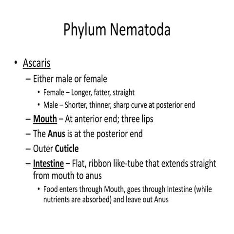 Biology lab practical #1 part 2