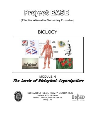 'levels of biological organization' on SlideShare