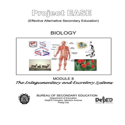 Biology m8 integumentary & excretory systems