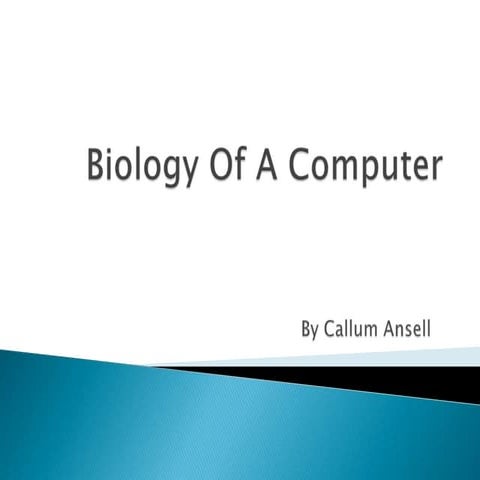 Biology of a computer