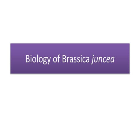Biology of brassica juncea