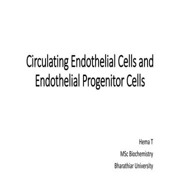 Circulating Endothelial Cells and Endothelial Progenitor Cells | PPTX