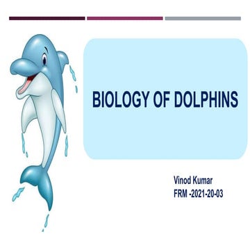 Biology of dolphins  pptx